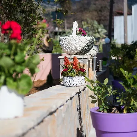 Sofia's Lägenhet Razáta